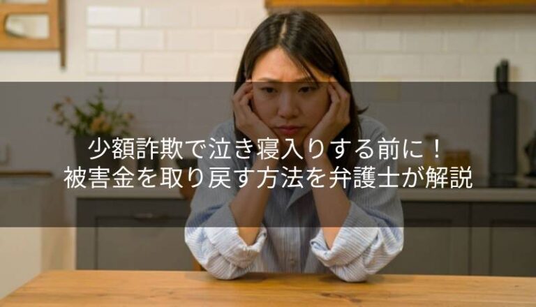 少額詐欺で泣き寝入りする前に！被害金を取り戻す方法を弁護士が解説