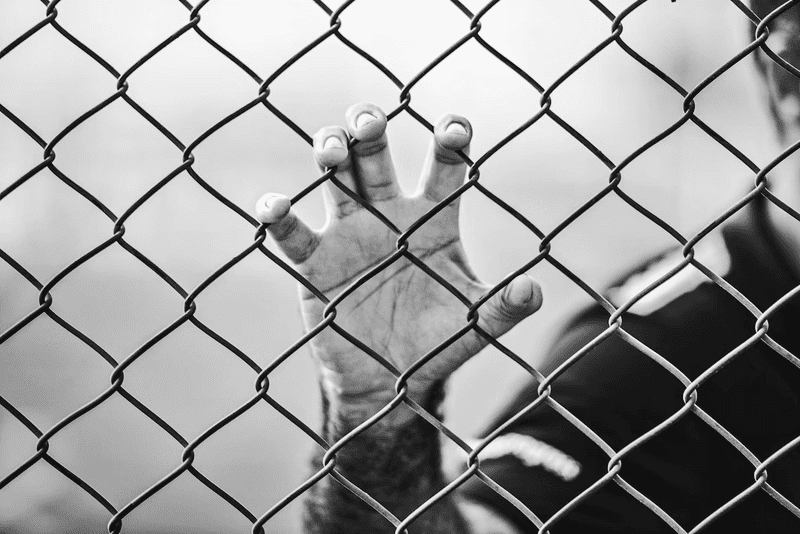 怪しいロレックス購入代行業者の見分け方
